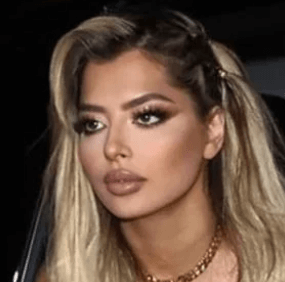 Mandana Bolourchi Net Worth