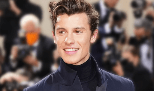 What Is Shawn Mendes Net Worth