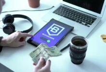 top cryptocurrency investment insights